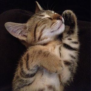 Meet your Posher, Tyve